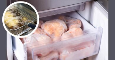Imagem de salgados congelados dentro de um freezer e uma imagem destacada de uma fritadeira com salgados dentro, dentro da proposta do artido que é como ganhar dinheiro com salgados congelados